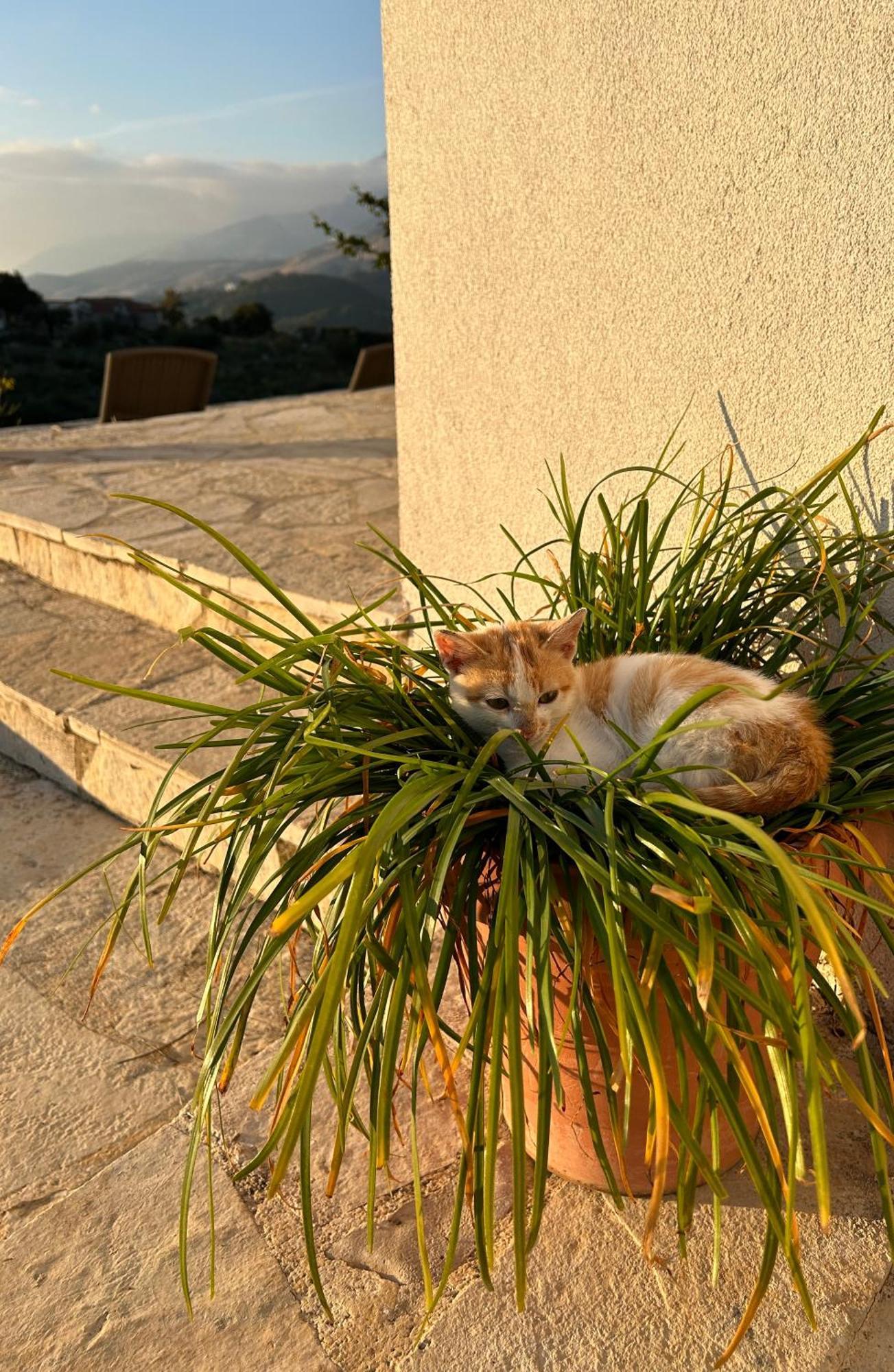 Hostel On The Hill - By Filikuri Beach Himara Kültér fotó
